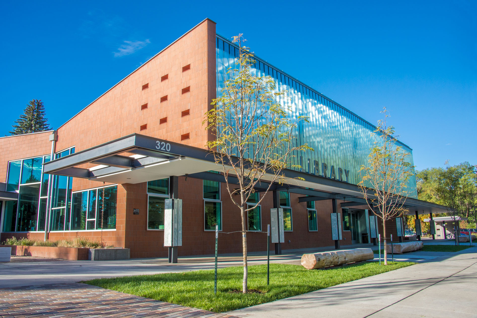 Carbondale Library